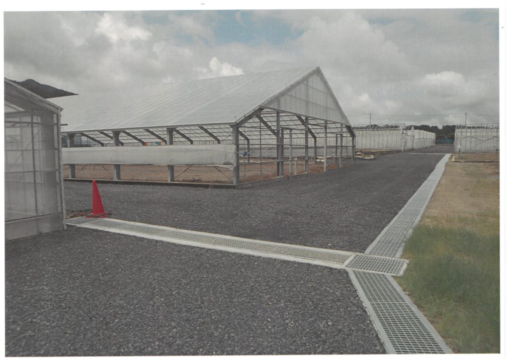 タキイ種苗㈱タキイ研究農場【農場内温室ハウス解体・整備工事】